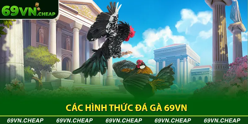 Hình thức đá gà nên biết