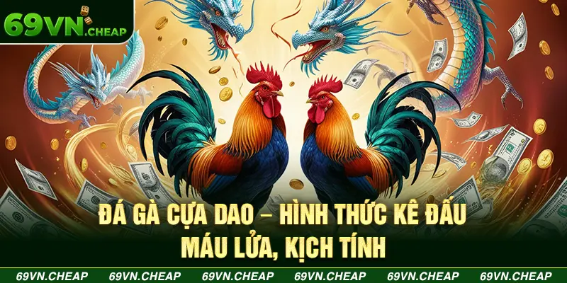 Đá gà cựa dao trực tiếp đá gà tại 69Vn