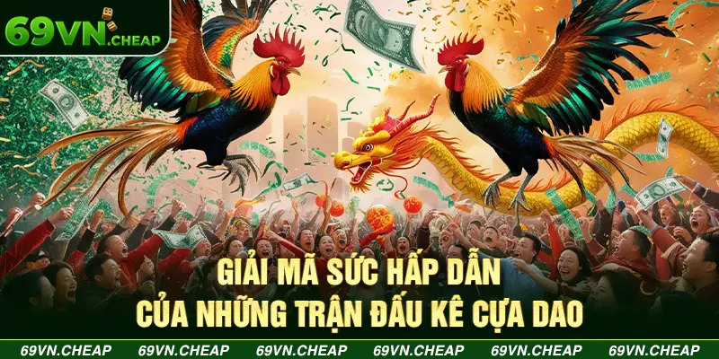 Cận cảnh trận đấu kê cựa dao kịch tính và gay cấn