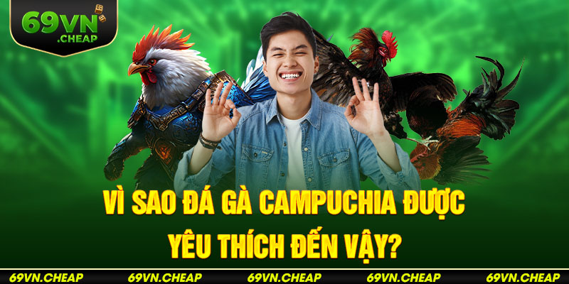 Cận cảnh những thần kê trứ danh tại đấu trường Campuchia